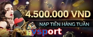 vsport