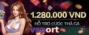 vsport