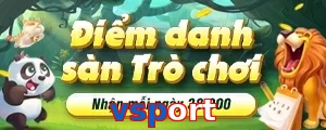 vsport